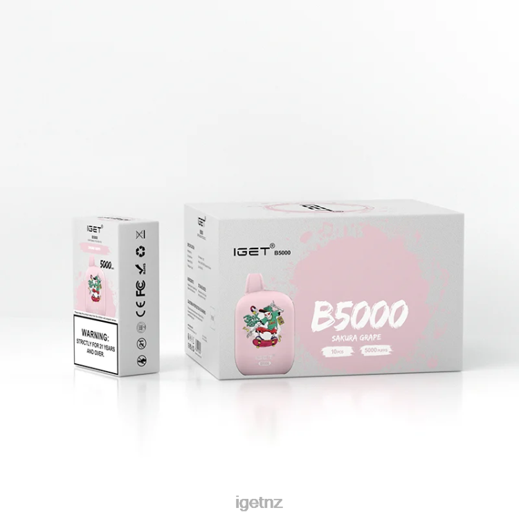D6282317 IGET B5000 - IGET Eshop Sakura Grape
